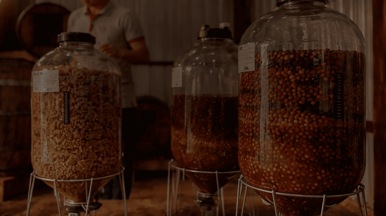 Experimental coffee fermentation in glass vessels at Hacienda La Papaya