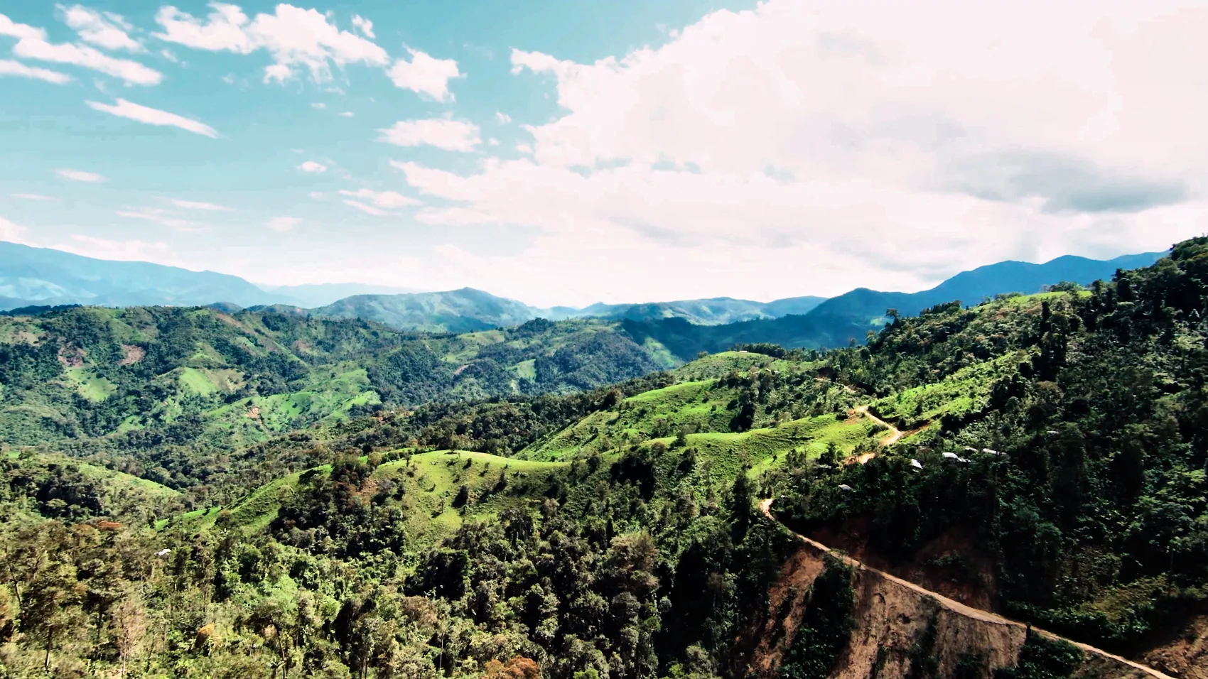 Yacuri's forested valley on the Amazon frontier