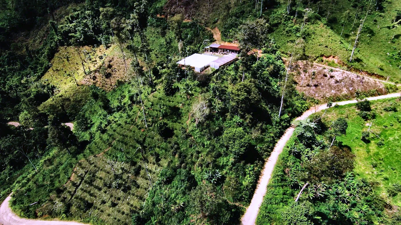 Yacuri, Amazon-facing slopes inside the Podocarpus biosphere