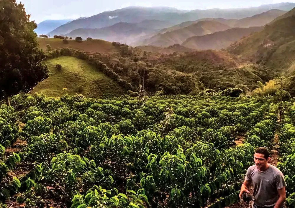 Chito Estate at Community Blends, Azuay and Loja, Ecuador