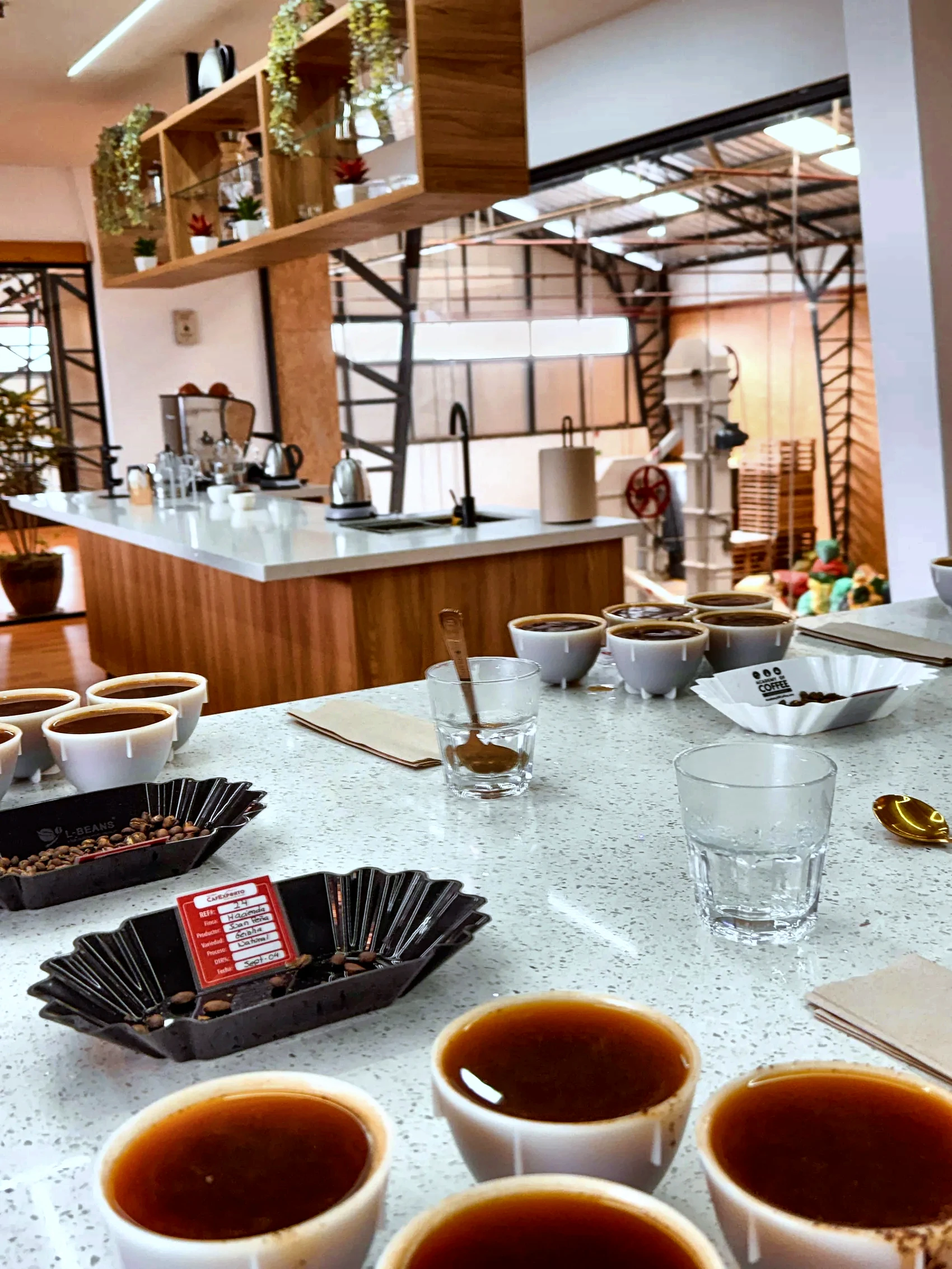 The CafExporto cupping laboratory in Cuenca