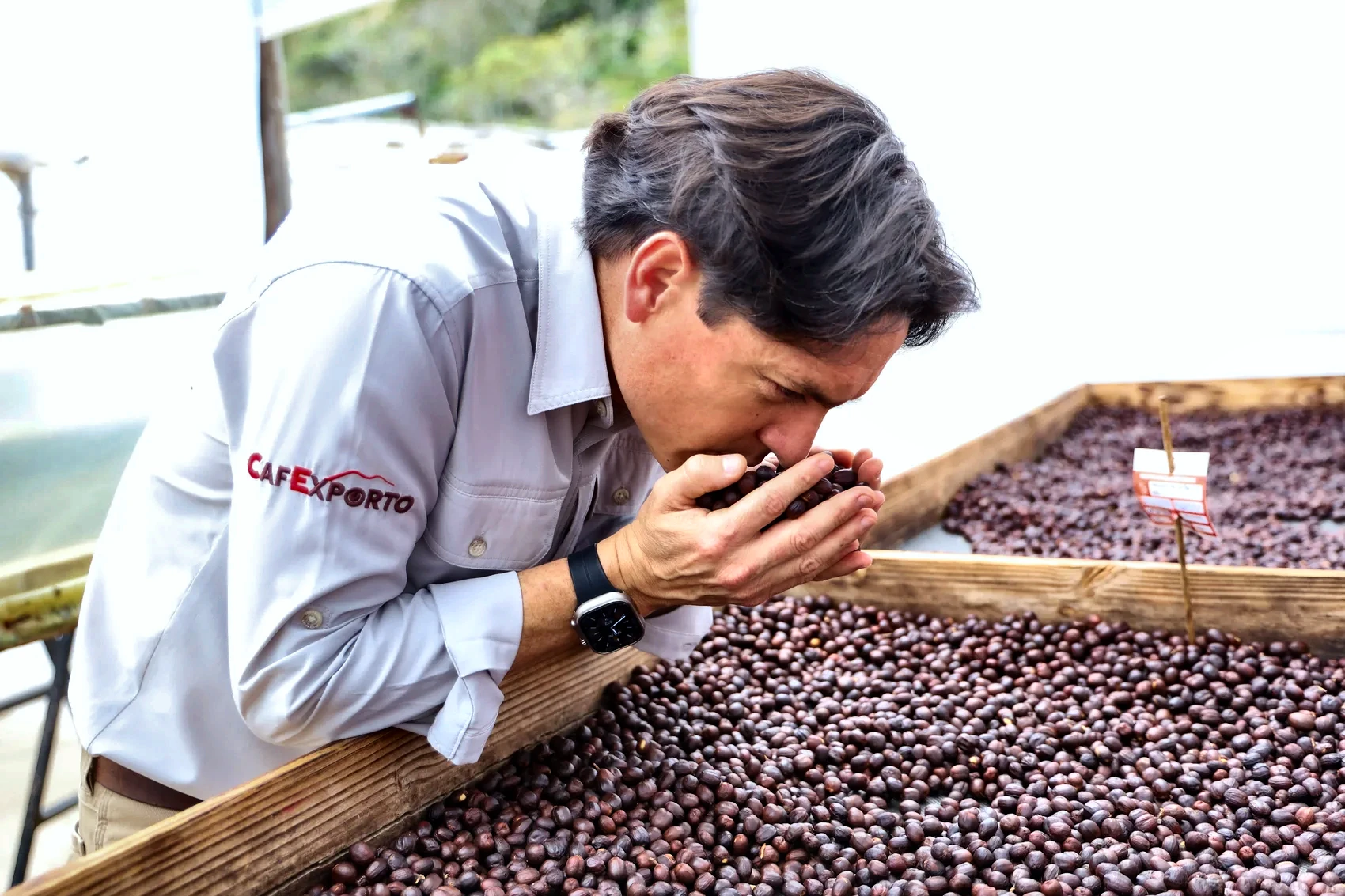 Juan Peña inspecting a natural-process lot on the raised beds