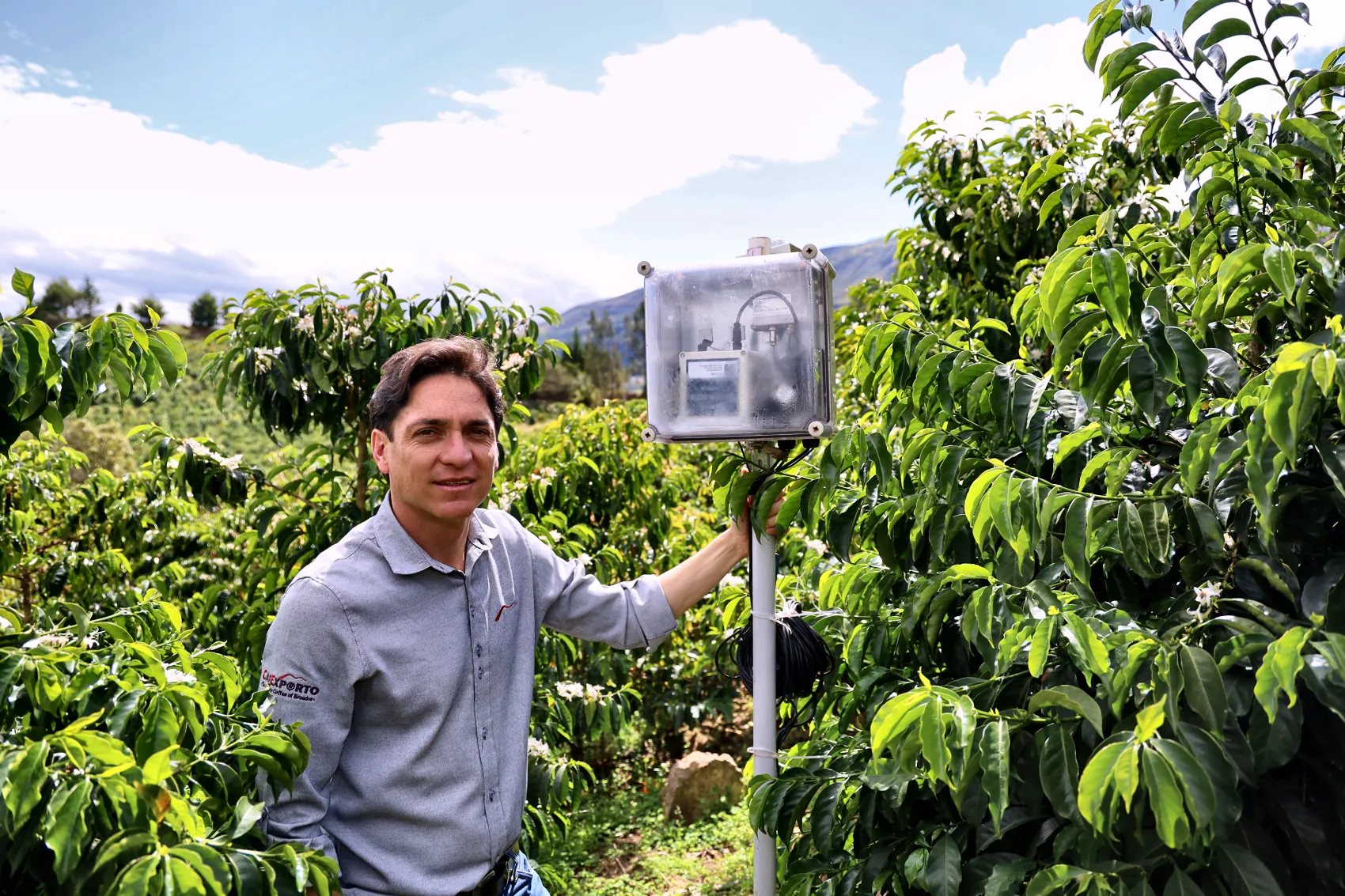Juan Peña at an Integrated Coffee Pulse field sensor