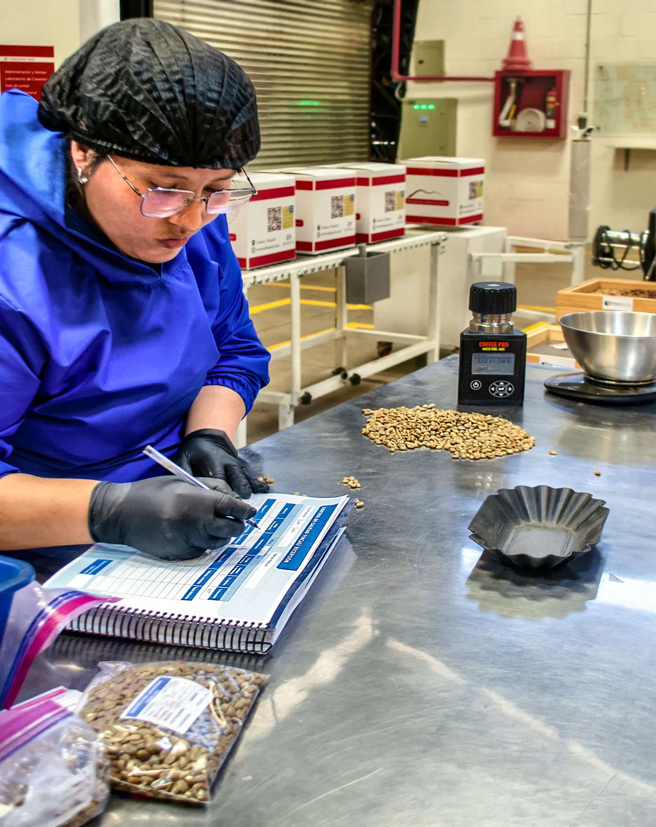 A CafExporto technician running moisture control on green coffee at the dry mill