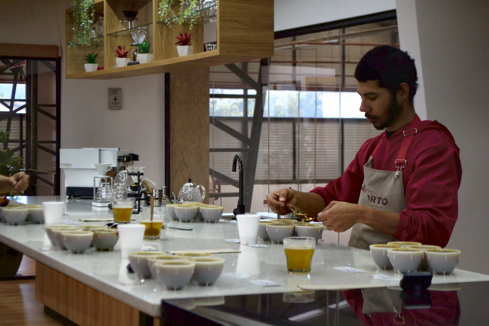 A CafExporto grader cupping the day's lots at the Cuenca sensory lab