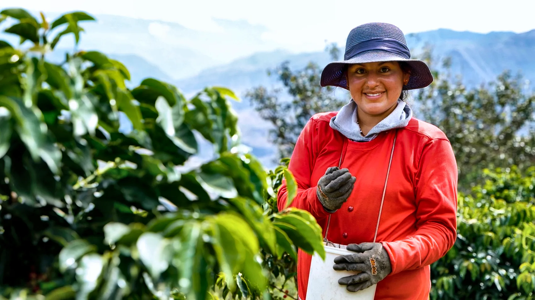 Harvest and community near Yunguilla